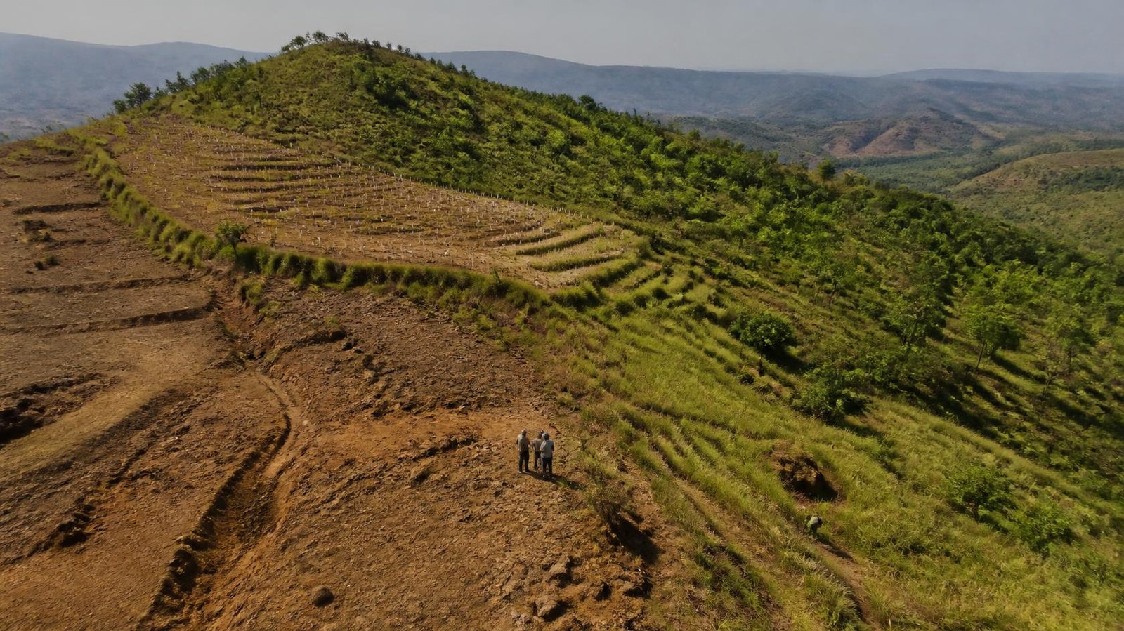Land Restoration and Biochar Soil Application