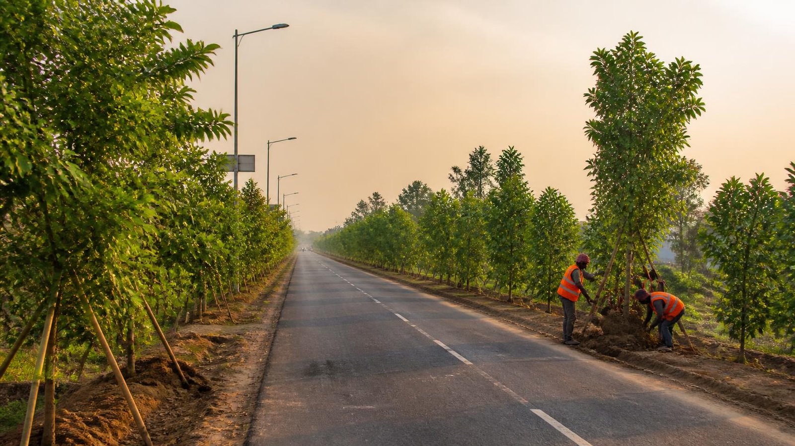 Highway Roadside Plantation Project Execution